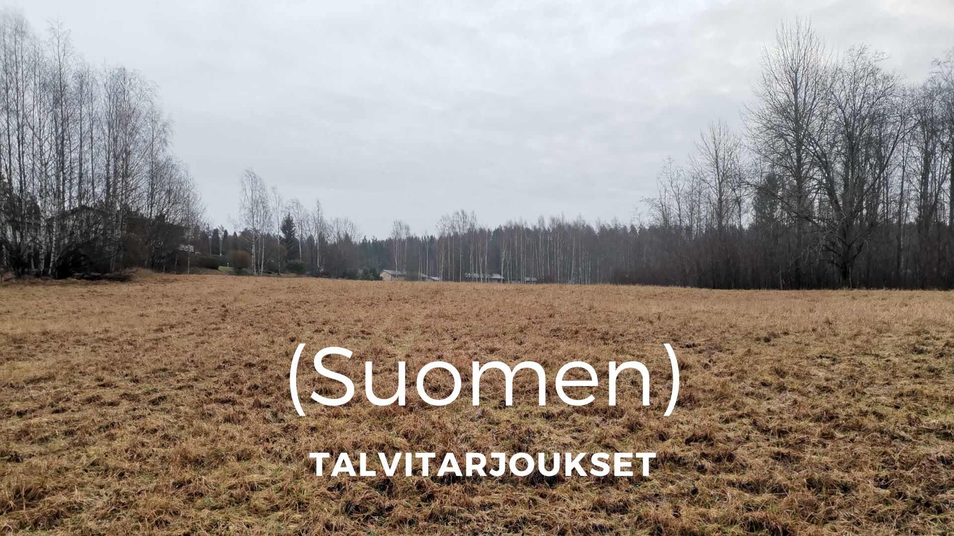 Talvitarjoukset