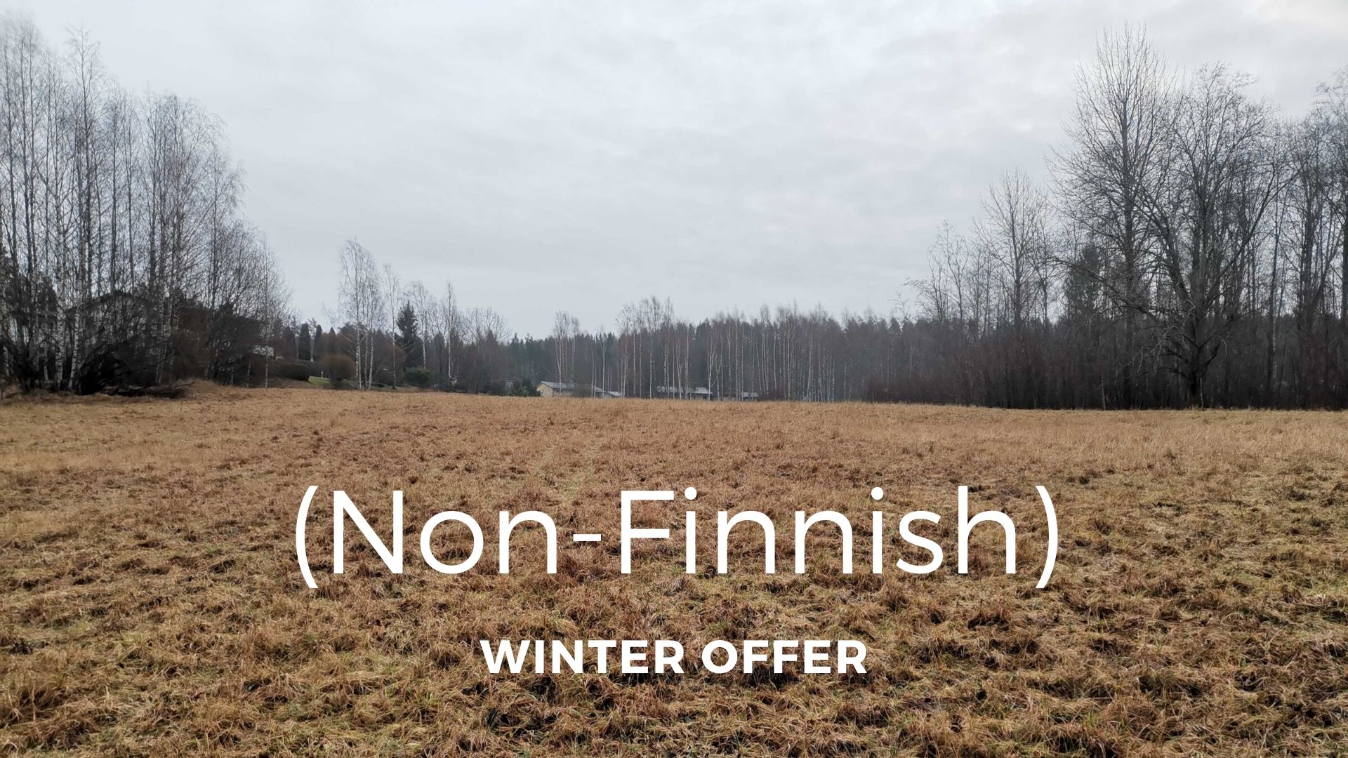 Winter Offer