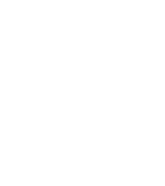 Hiisi Homes & Hotels